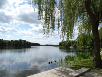 Vorschaubild Steg mit Weide und Schilf im Sommer mit Blick auf den Kyritzer Untersee sowie die Insel mitten darin, auf der sich die Gaststätte INSL befindet